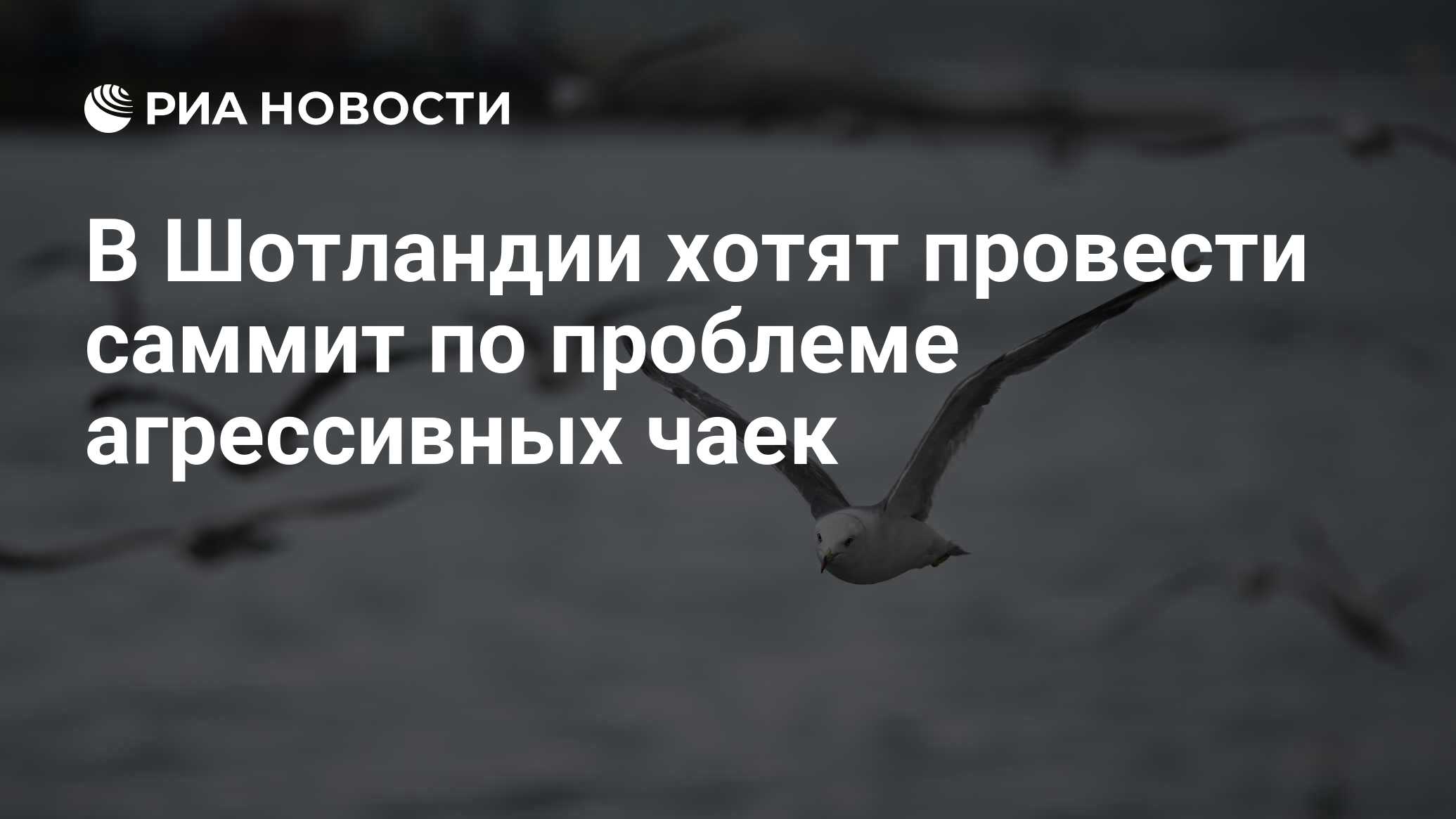 2025881752.jpg?18953021481751032480