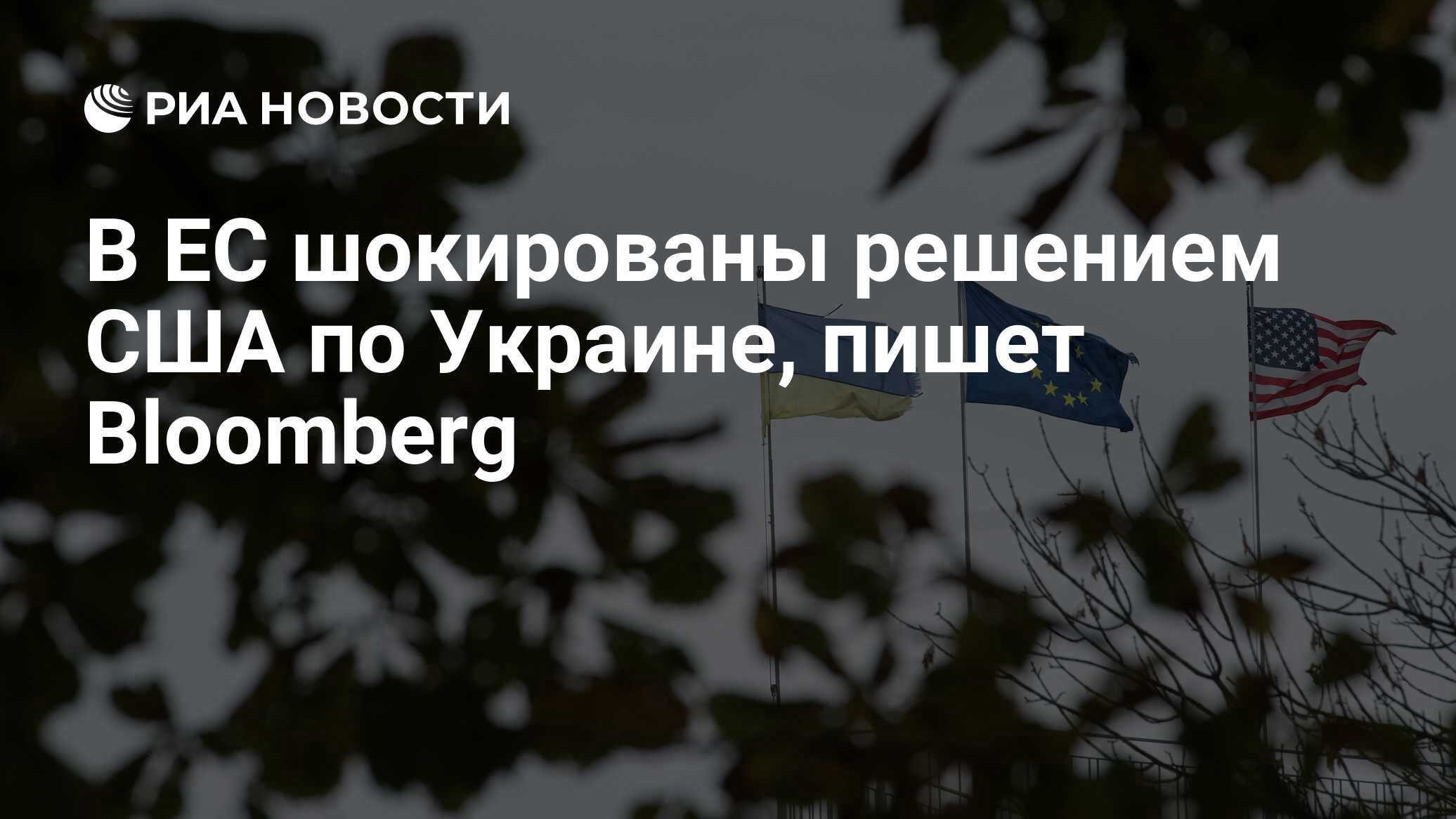 2026798984.jpg?10303791151751469677