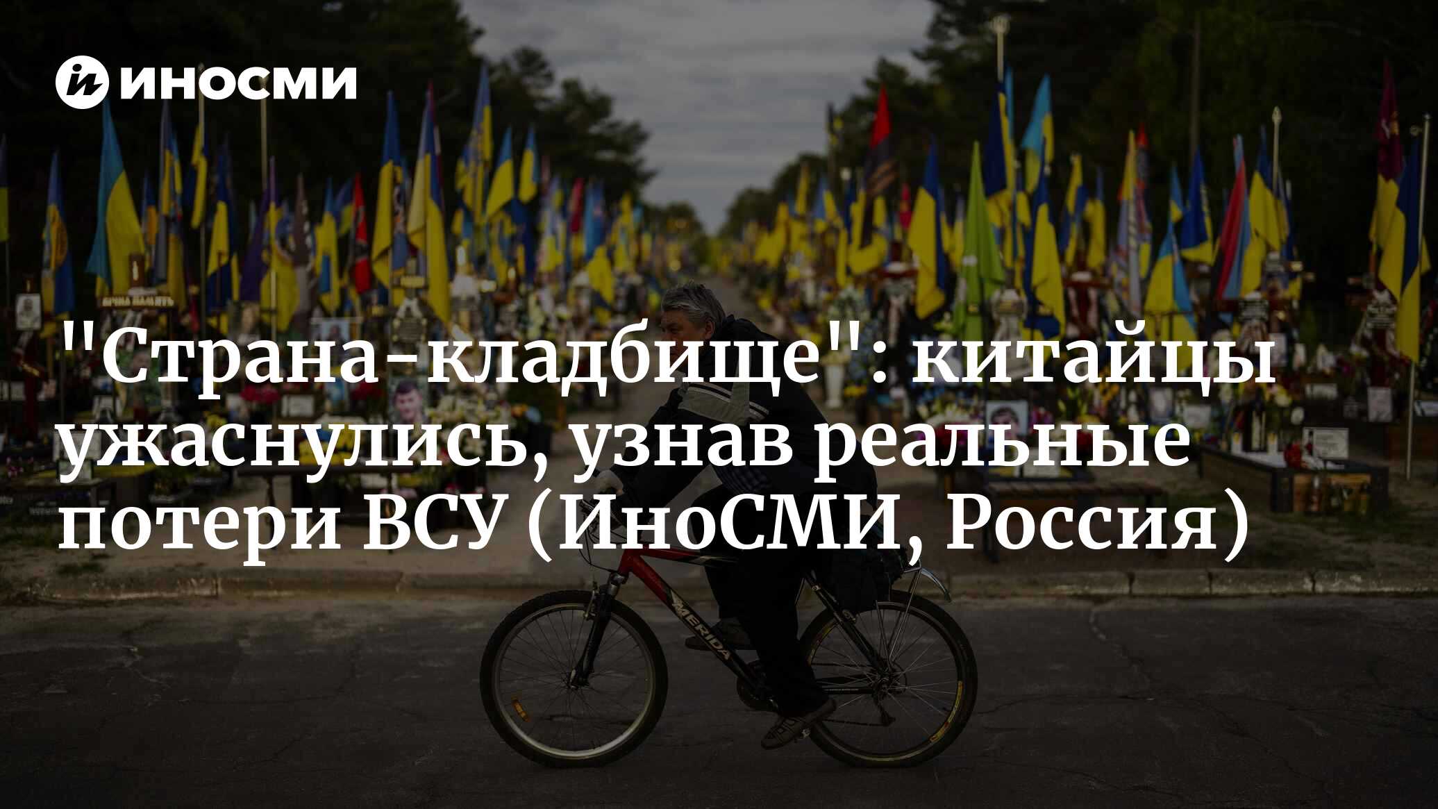 273904960.jpg?2687072101753384102