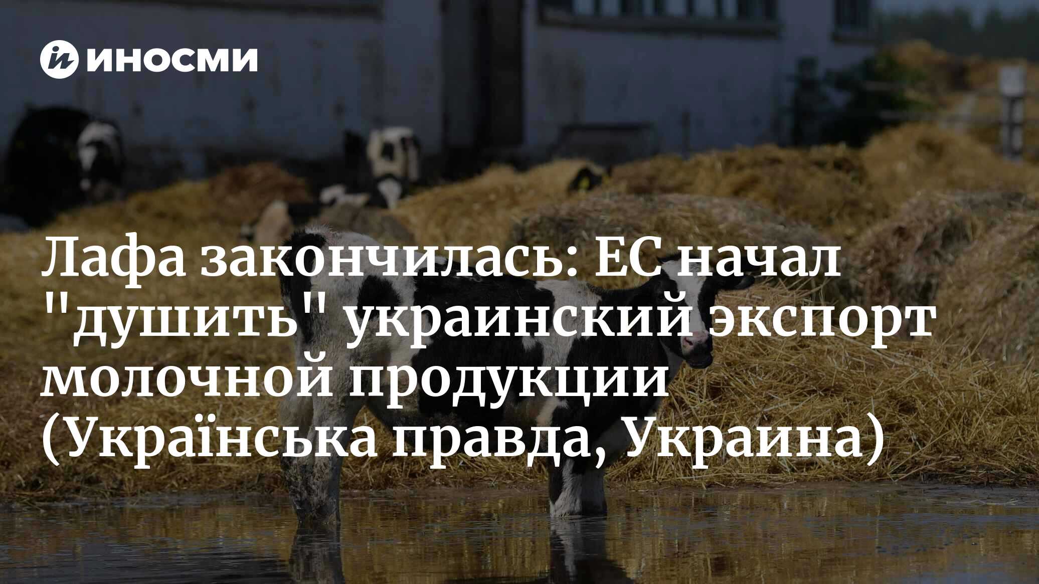 273692035.jpg?2736918671751906150