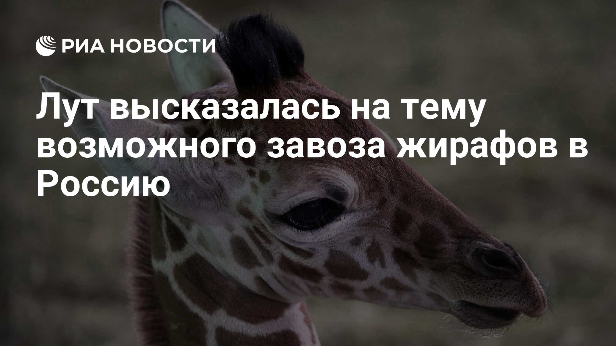 2027317406.jpg?15095412941751659099