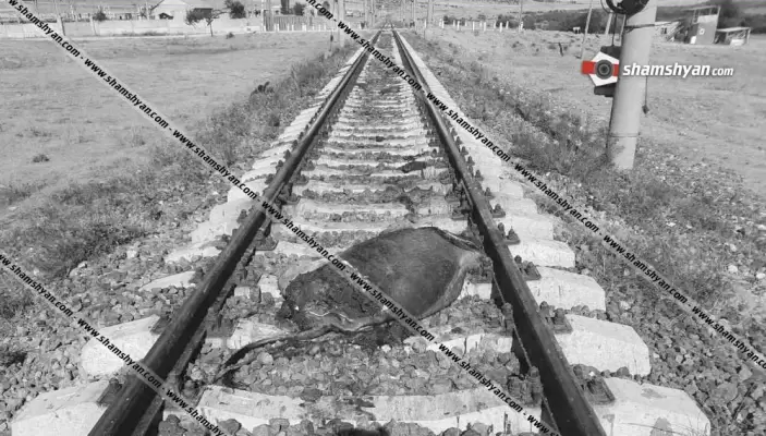 Գնացքի բախում կովի հետ