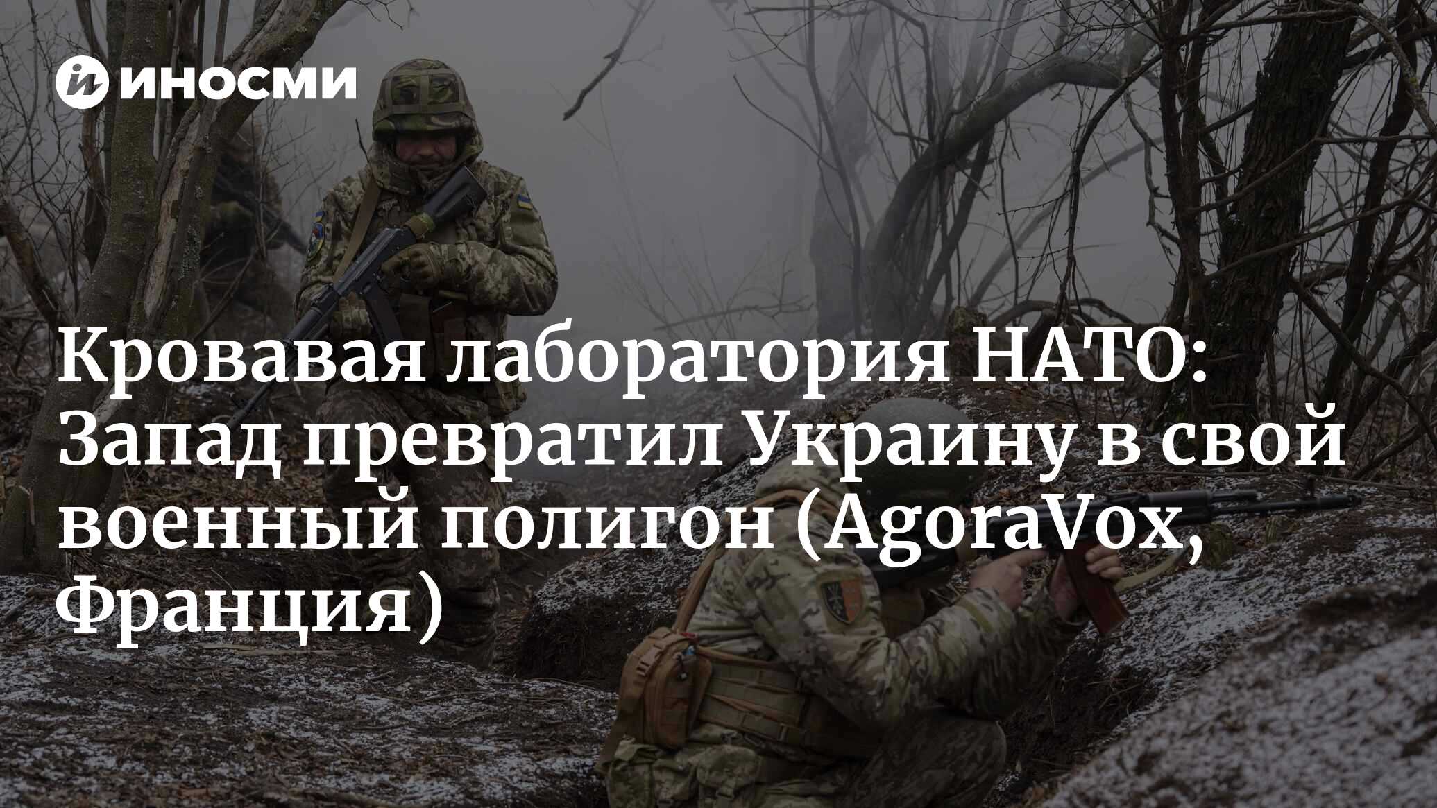 273972706.jpg?2715695851753904643