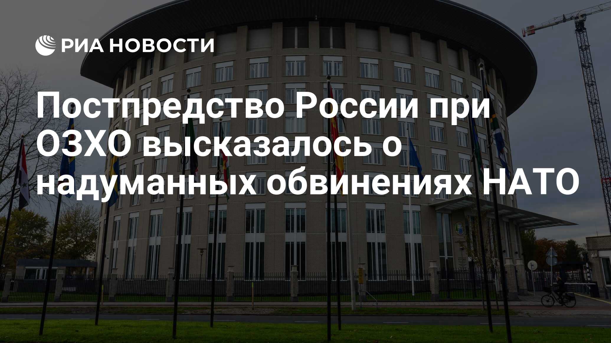 2027318354.jpg?15870065071751659964